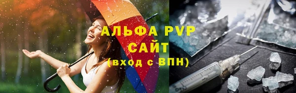 стаф Осинники