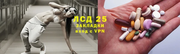 стаф Осинники