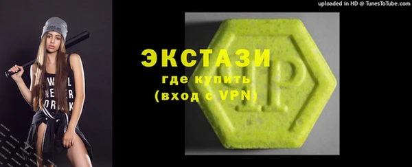 стаф Осинники