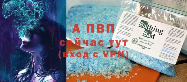 стаф Осинники