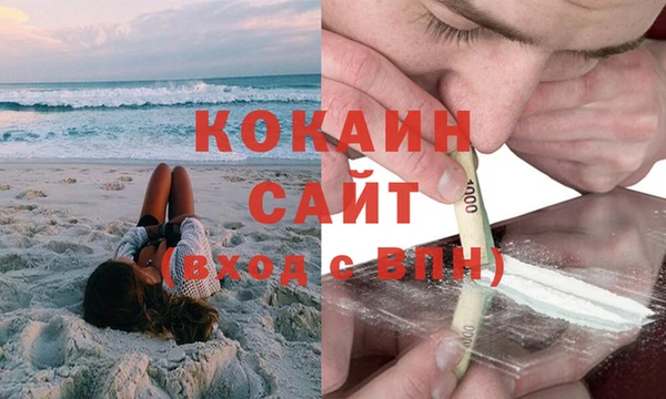 стаф Осинники