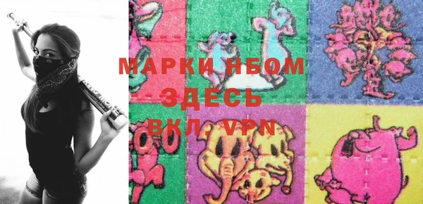 стаф Осинники