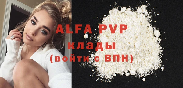 стаф Осинники