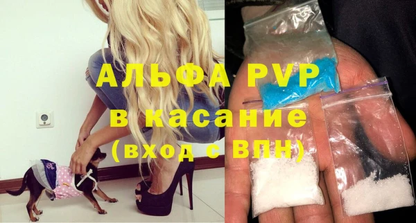 стаф Осинники