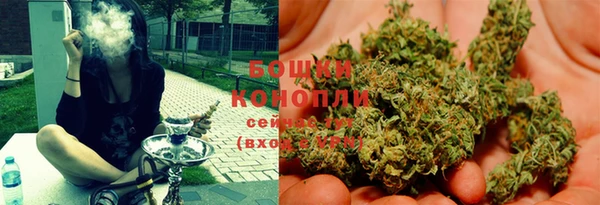 стаф Осинники