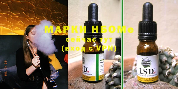 стаф Осинники
