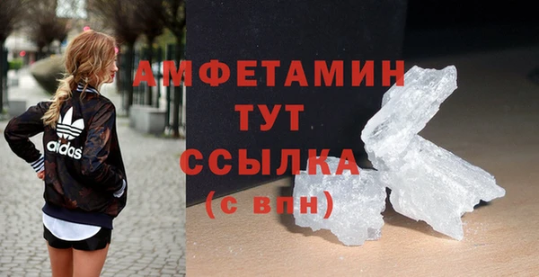 стаф Осинники