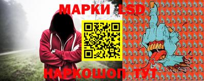 прущие грибы Будённовск
