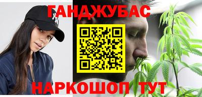 прущие грибы Будённовск