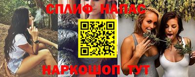 прущие грибы Будённовск