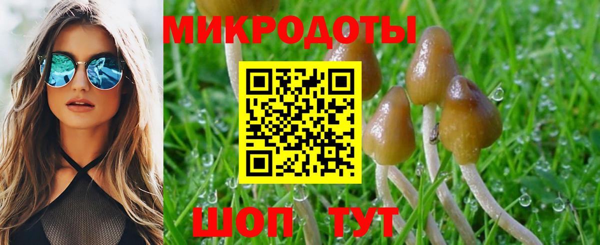 Галлюциногенные грибы GOLDEN TEACHER Зеленодольск