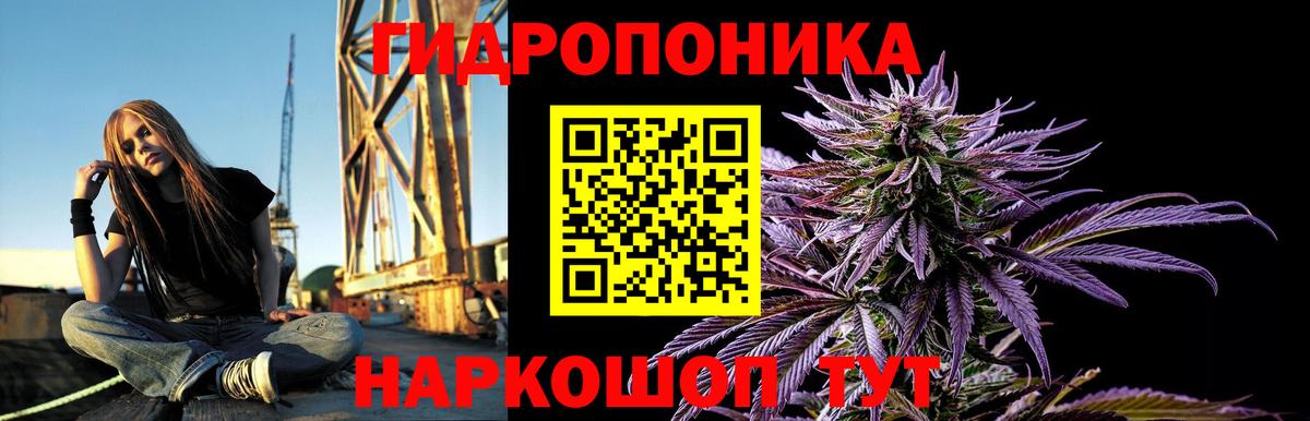 МАРИХУАНА сатива  Вход с VPN  Зеленодольск  Бошки Шишки VHQ  МАРИХУАНА семена 